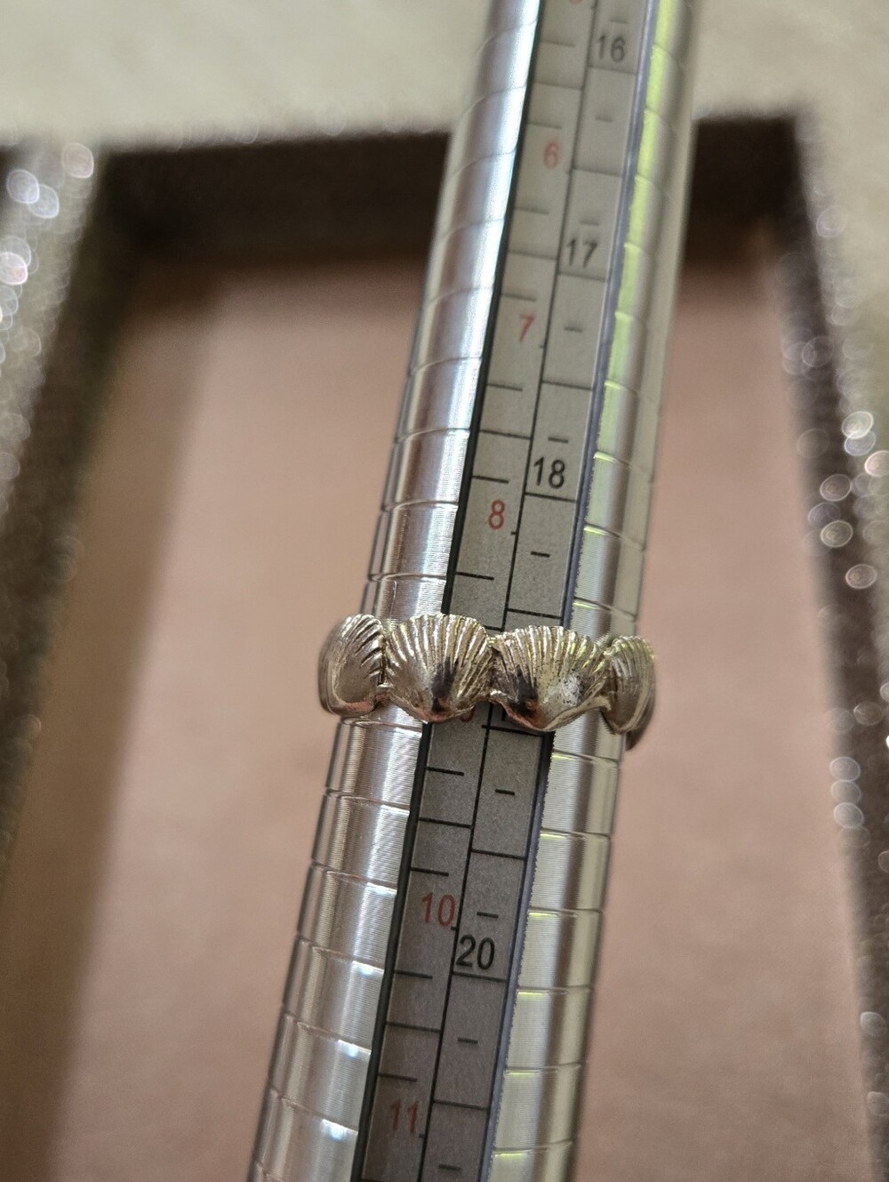 Silver Shell Ring - Picture 10 of 10